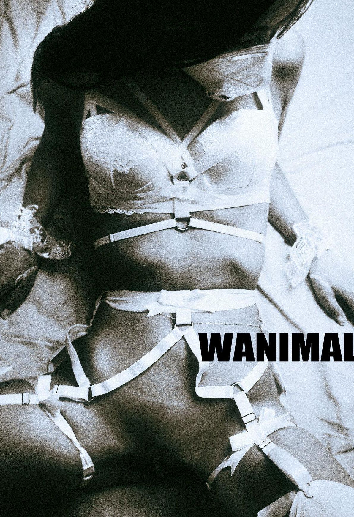 ]WANIMAL  ռ   ɫģ ģ Tumblrд No.103 1ҳ